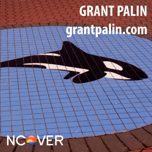 .NET Developers Grant Palin